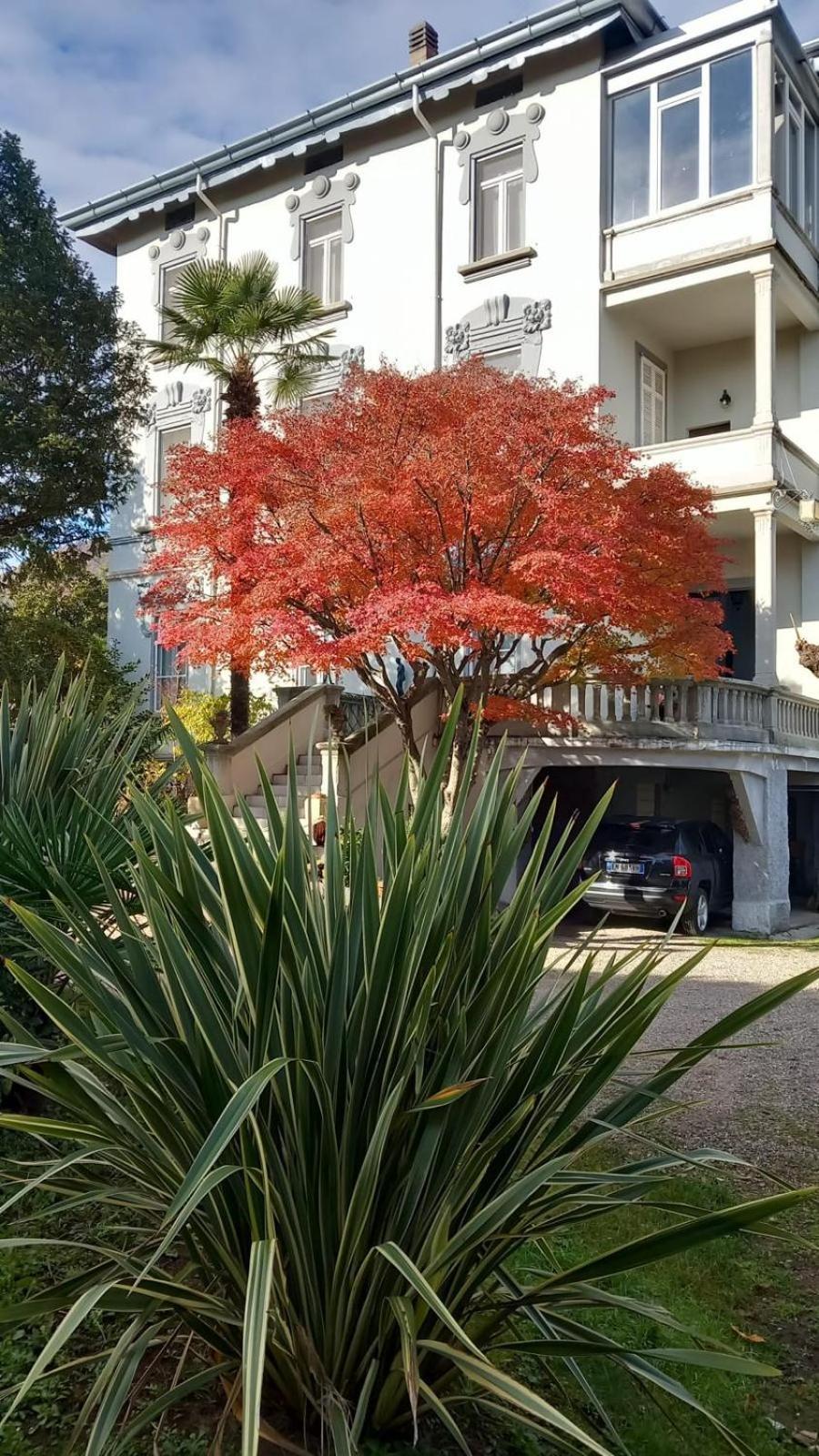 Villa Sapi Arcisate Exterior foto